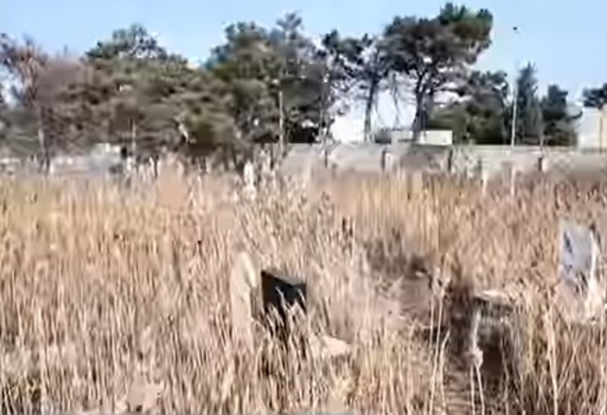 Bakının bu qəbiristanlığı baxımsız halda - VİDEO