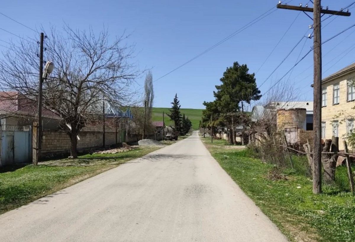 Şamaxının Məlikçobanlı kəndində işıq xəttləri problemə çevrilib