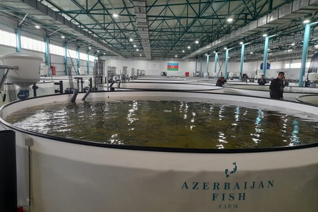 “PAŞA Holdinq”in şirkəti özəlləşdirdiyi balıqçılıq müəssisəsini özünə birləşdirib