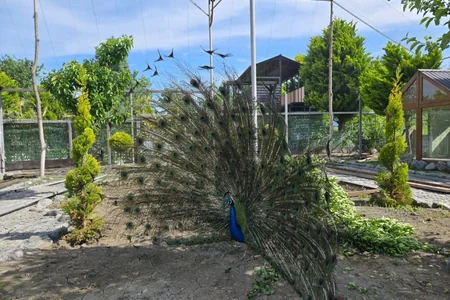 Qax rayonunda yeni Eco Park açıldı - FOTO