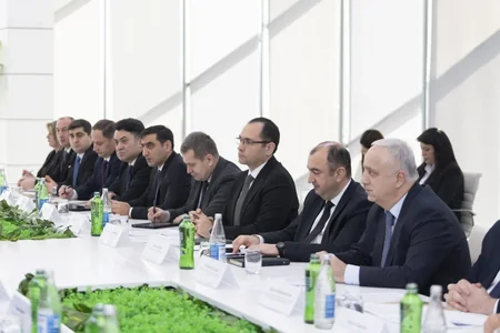 Nazir mərmər bağacığı ilə mübarizə üçün rayon icra başçılarını topladı