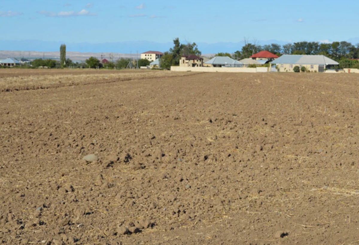 Dövlətə məxsus 400-dən çox torpaq sahəsi icarəyə verilib