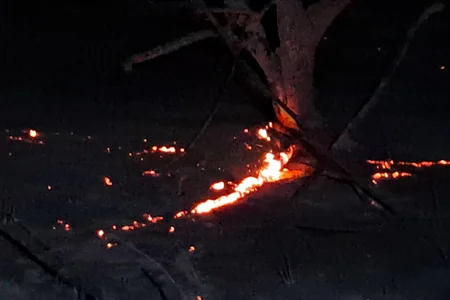 Yevlaxda yol kənarında yanğın başlayıb, külək alovu yayır - FOTO