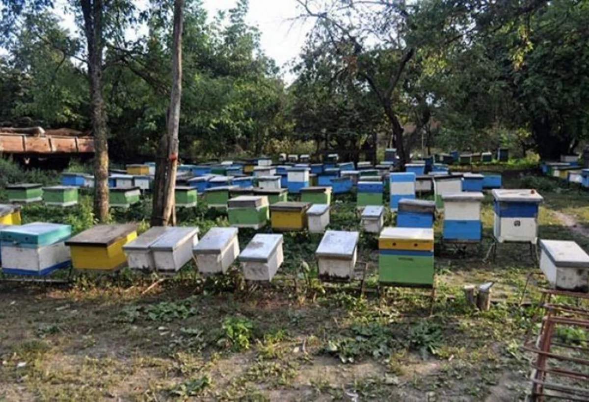 Yardımlıda arıçılıq təsərrüfatının inkişafı, subsidiyalar müzakirə olunub