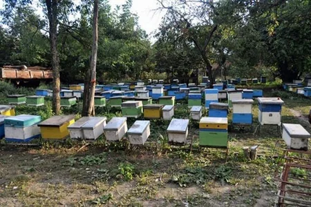 Yardımlıda arıçılıq təsərrüfatının inkişafı, subsidiyalar müzakirə olunub