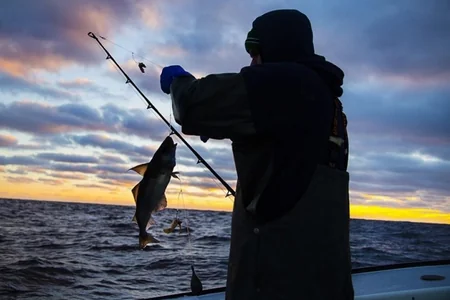 İki ayda 13 qanunsuz balıq ovu AŞKARLANDI
