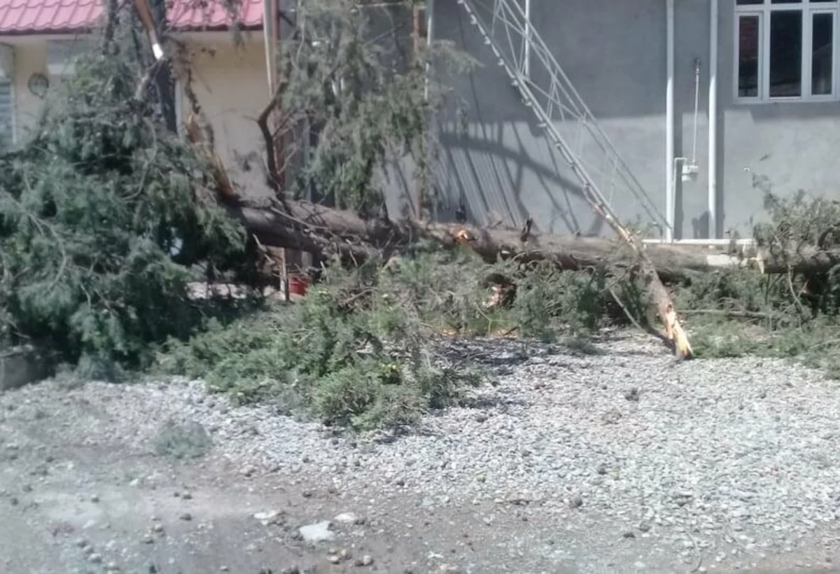 Güclü külək Goranboy bir sıra fəsadlar törədib