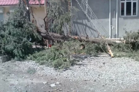 Güclü külək Goranboy bir sıra fəsadlar törədib