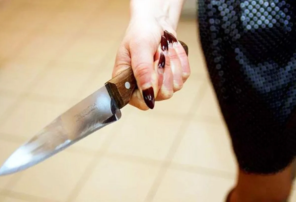 Sosial şəbəkədə başqası ilə yazışdığını bilib hədələyən ərini öldürdü - MƏHKƏMƏ İŞİ