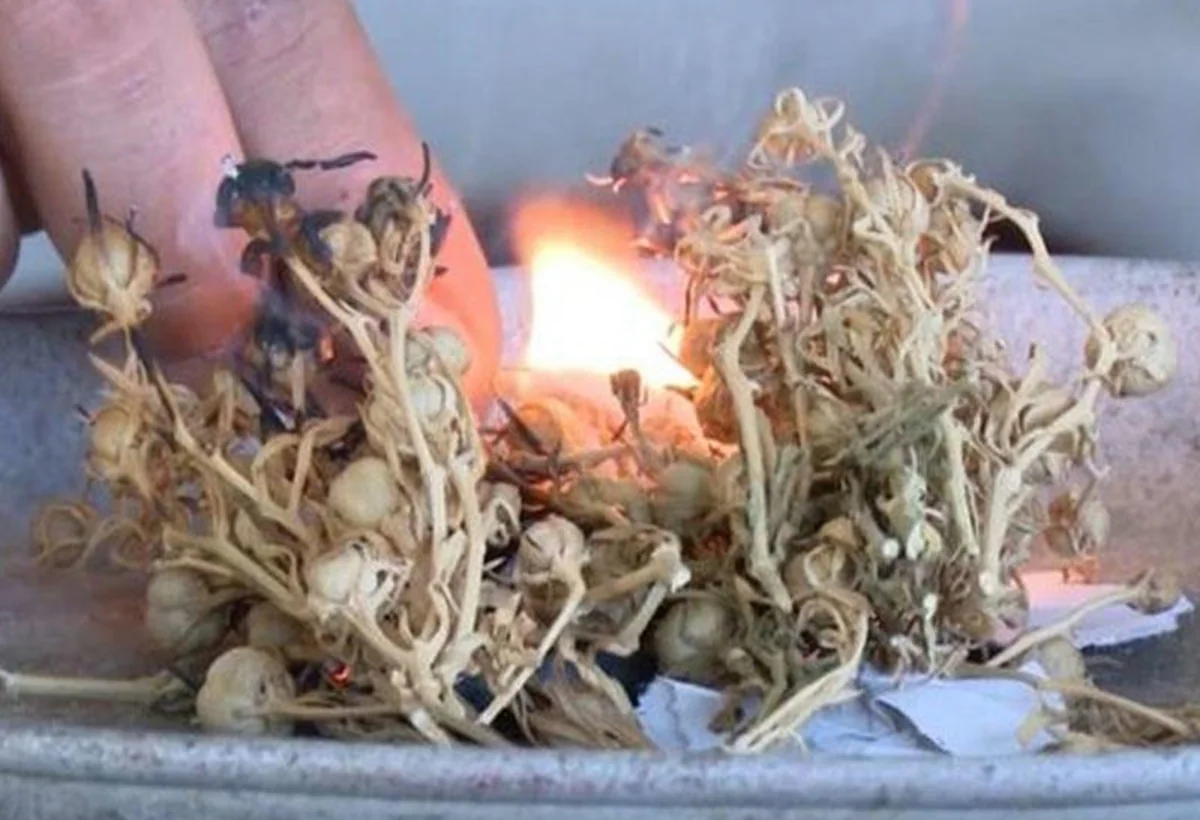 Dənizçilərə üzərlik XƏBƏRDARLIĞI