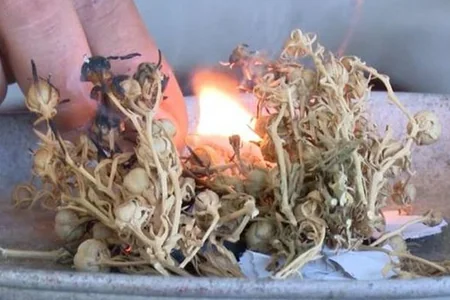 Dənizçilərə üzərlik XƏBƏRDARLIĞI