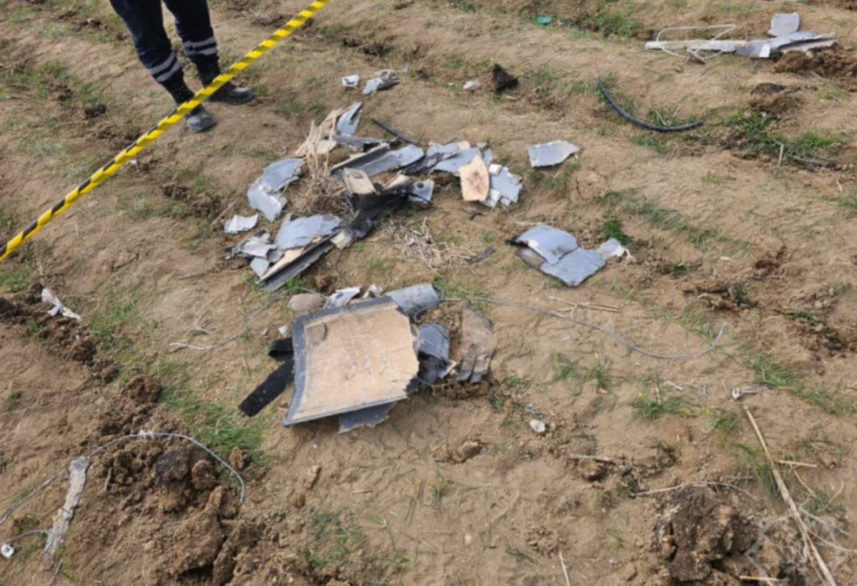 Azərbaycan Dostları Assosiasiyası Naxçıvana qarşı dron hücumunu pisləyib