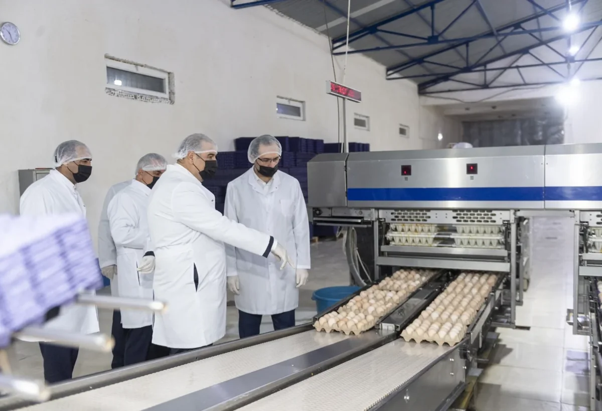 Xızı və Abşeronda quşçuluq istehsalının artırılması müzakirə olunub