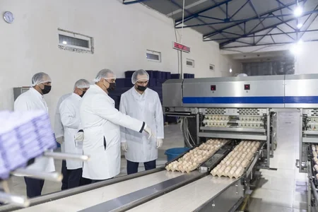 Xızı və Abşeronda quşçuluq istehsalının artırılması müzakirə olunub