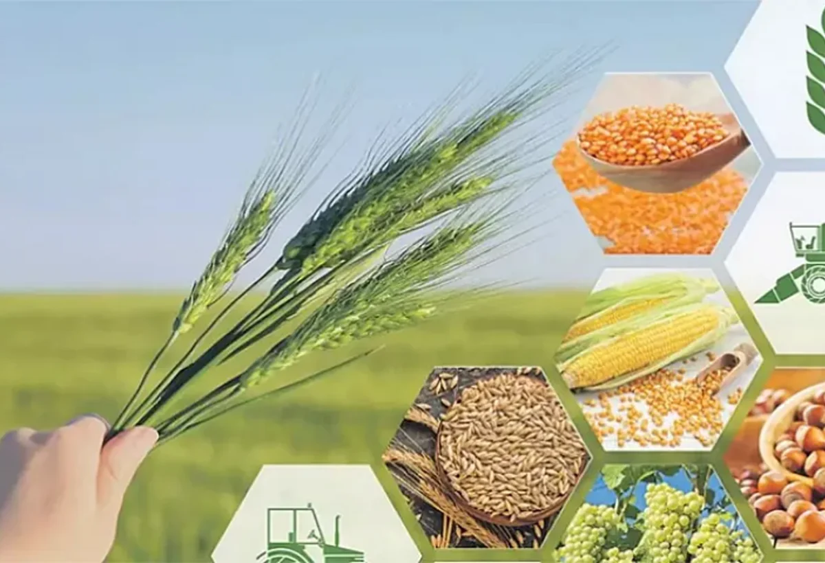 Kənd təsərrüfatı məhsulları 5 faizə qədər BAHALAŞIB