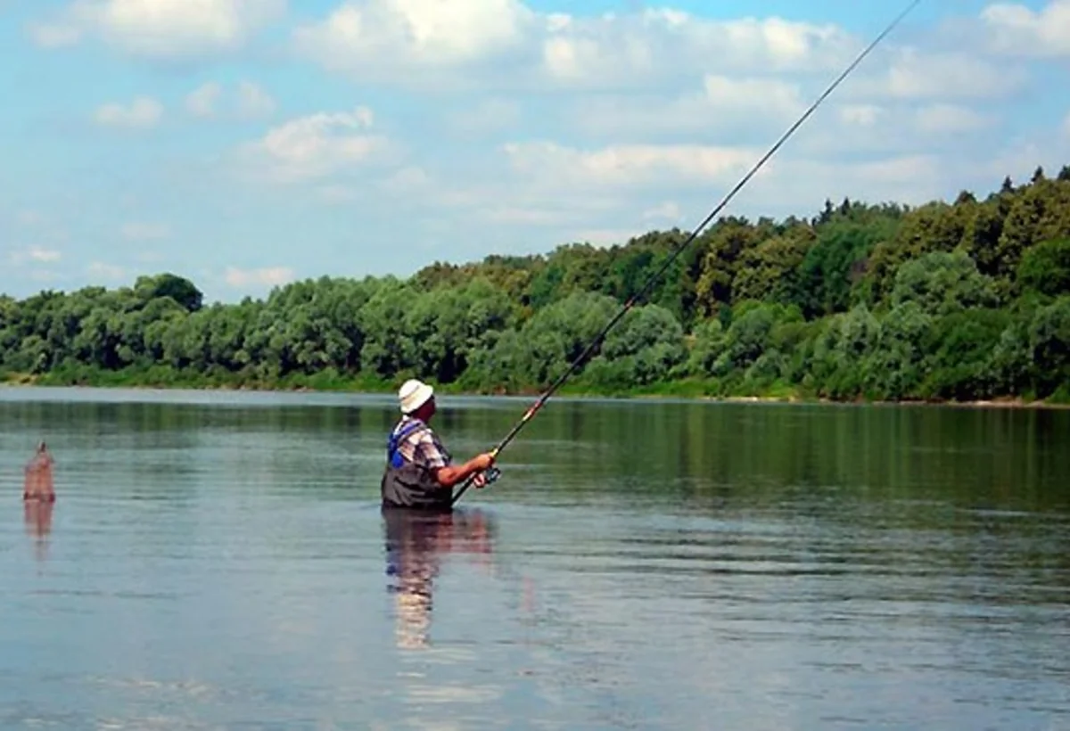 Nazirlik: Azərbaycanda akvakultura əsasən ənənəvi nohur tiplidir