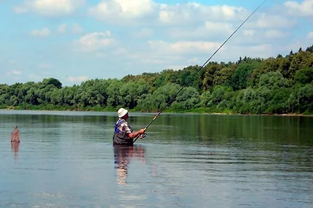 Nazirlik: Azərbaycanda akvakultura əsasən ənənəvi nohur tiplidir