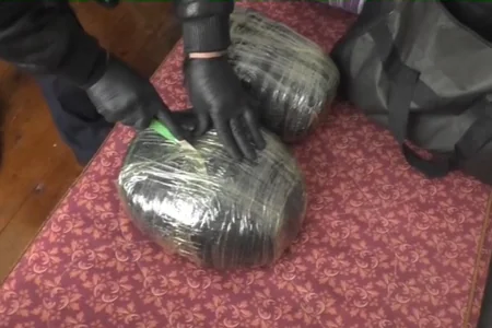 Qazaxda 54 yaşlı kişidən 5 kiloqram marixuana aşkarlandı - VİDEO