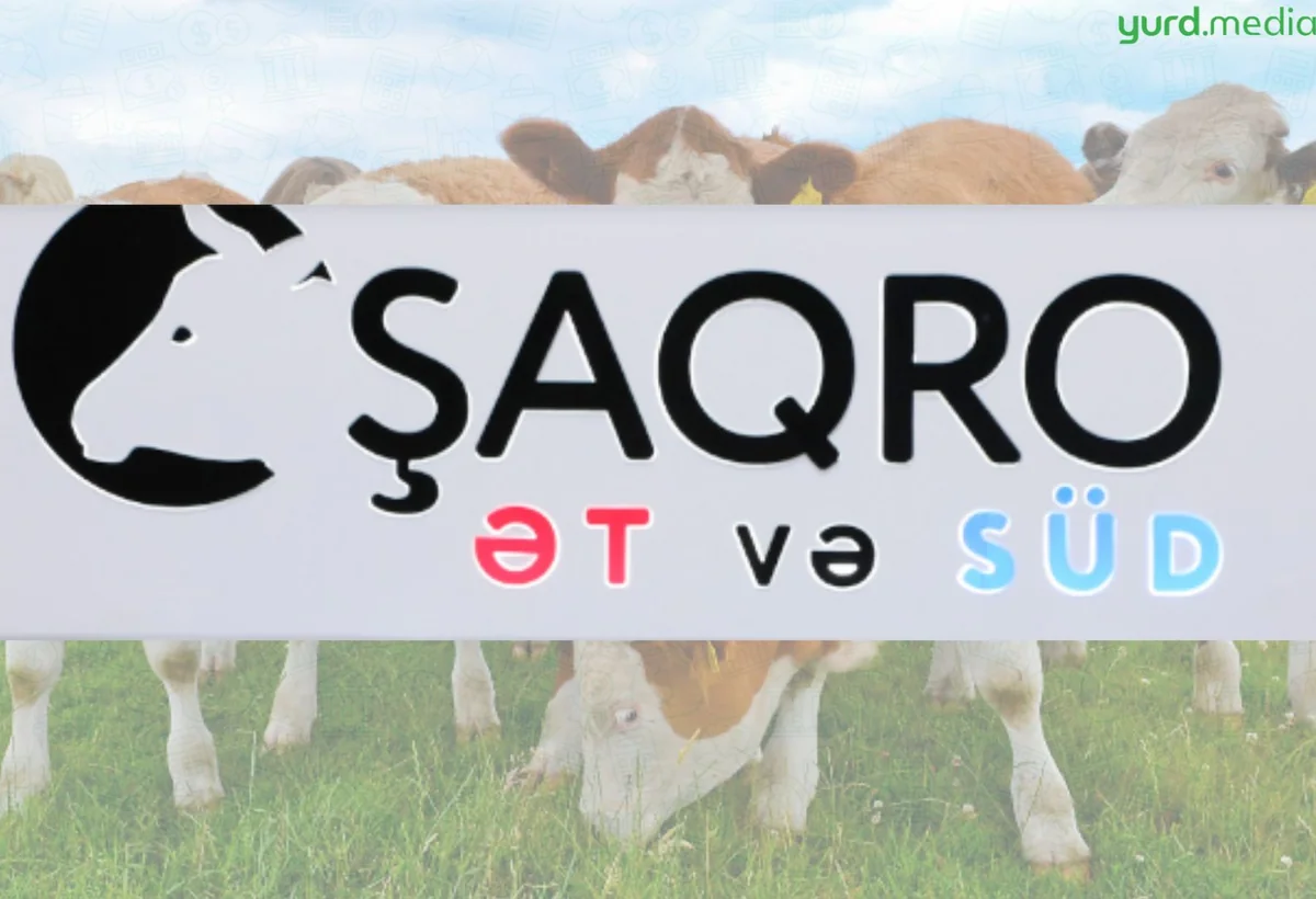 “Şirvan Aqro”nun gömrük bəyannaməsi dərdi - Yenə CƏRİMƏLƏNDİ