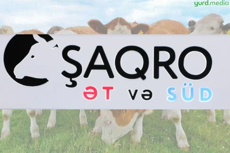 “Şirvan Aqro”nun gömrük bəyannaməsi dərdi - Yenə CƏRİMƏLƏNDİ