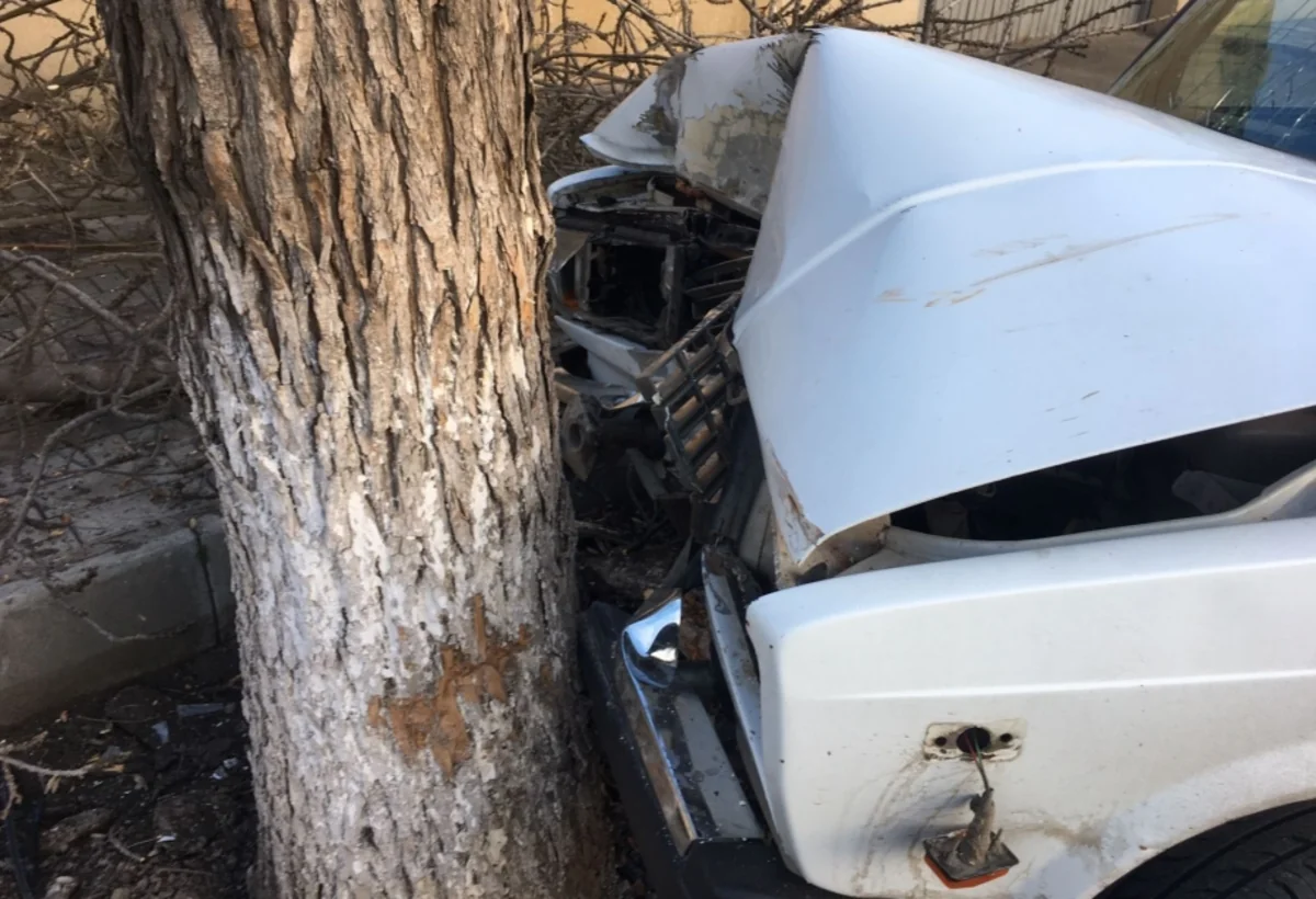 Şəmkir-Gədəbəy yolunda VAZ ağaca çırpılıb