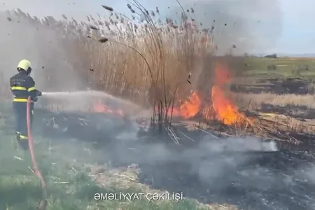 Qazaxda açıq ərazidə yanğın - VİDEO