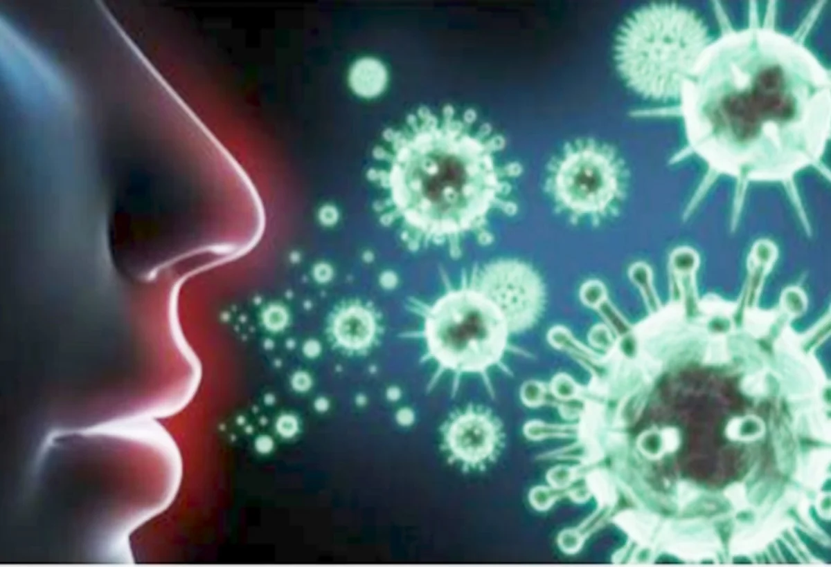 Yeni virus epidemiyası təhlükəsi ARTIR