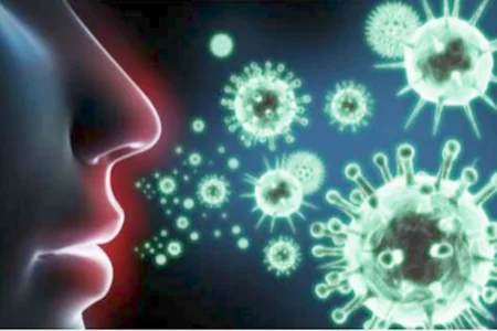 Yeni virus epidemiyası təhlükəsi ARTIR