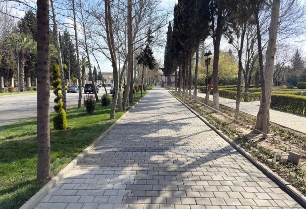 Yevlaxda abadlıq-quruculuq işləri - FOTO