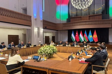 Hikmət Hacıyev TDT liderlərinin diplomatik köməkçilərinin toplantısında - FOTO