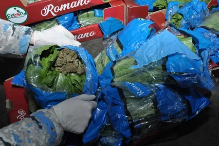 Kələmin içərisində 56 kiloqram marixuana keçirmək istədilər