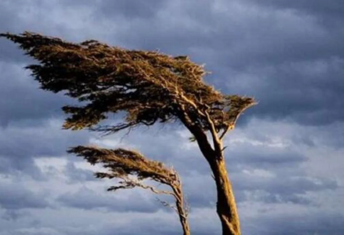 Küləkli hava ilə bağlı XƏBƏRDARLIQ