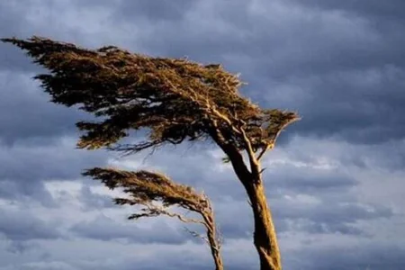 Küləkli hava ilə bağlı XƏBƏRDARLIQ