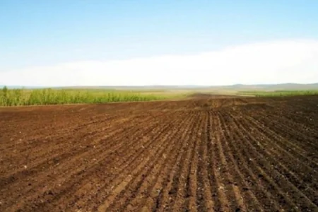 Neftçalada araşdırma: 1000 hektar əkilməyən torpağa subsidiya ayrılıb