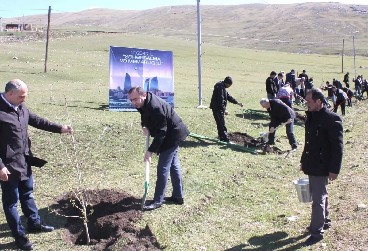 Daşkəsəndə ağacəkmə aksiyası keçirilib