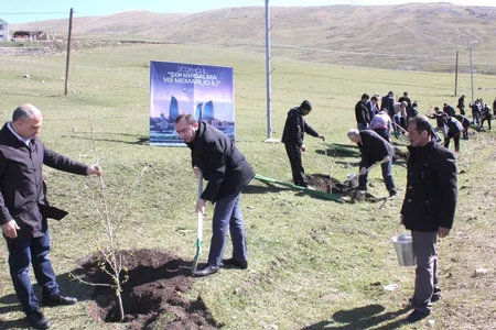 Daşkəsəndə ağacəkmə aksiyası keçirilib