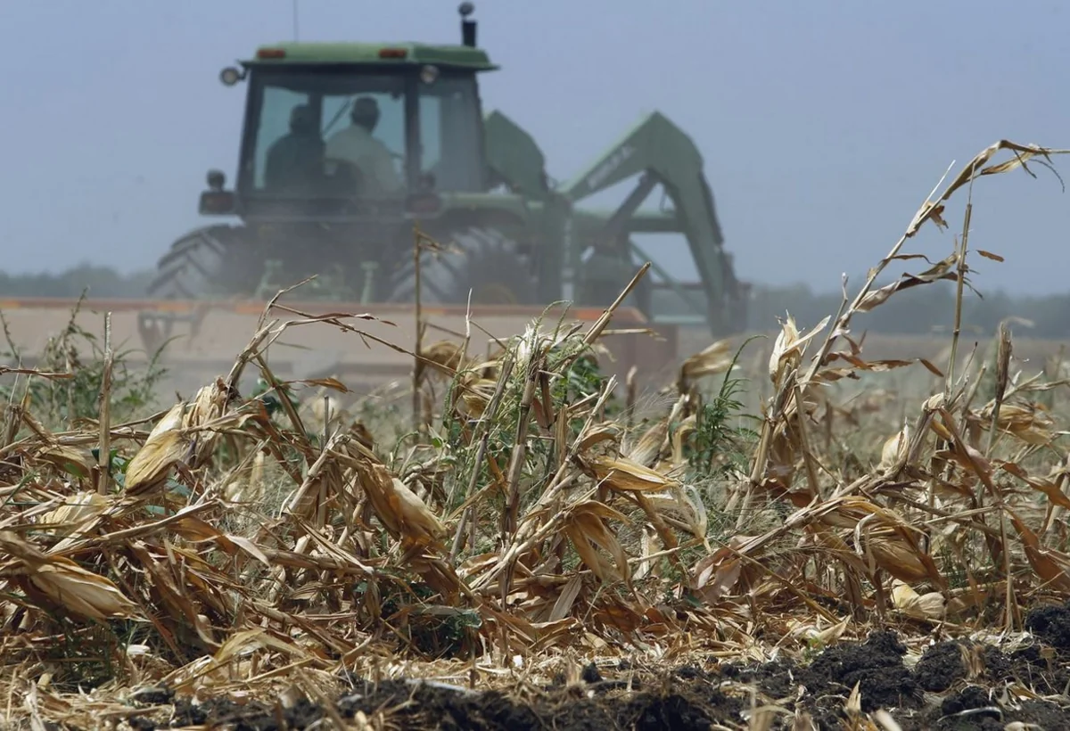Qeyri-sabit havanın kənd təsərrüfatına vurduğu zərər hesablanır