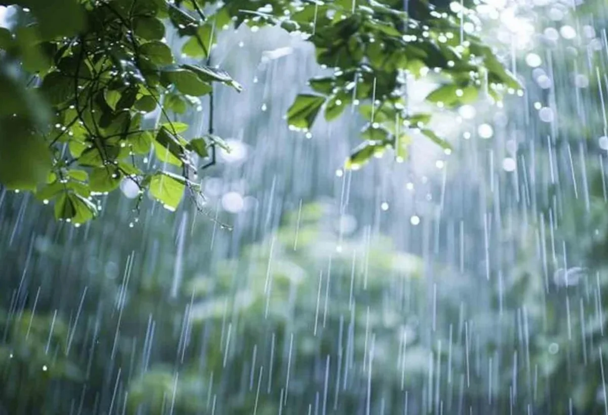 Sabaha yağış PROQNOZU