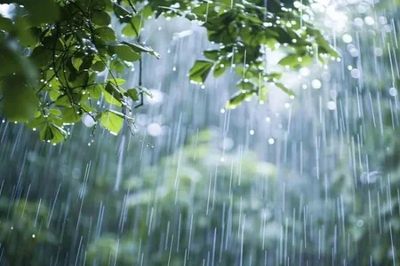 Sabaha yağış PROQNOZU