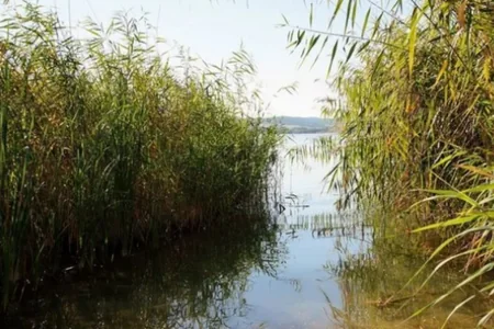 Qobustanda ailə faciəsi: Uşaq gölməçədə boğuldu