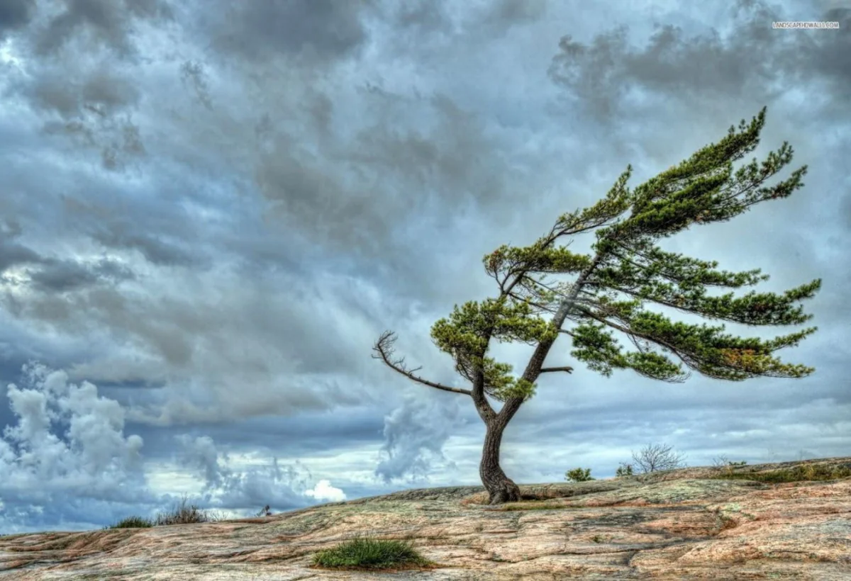 Güclü külək XƏBƏRDARLIĞI
