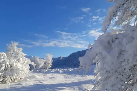 Şahdağda qarın hündürlüyü 81 sm-ə çatıb