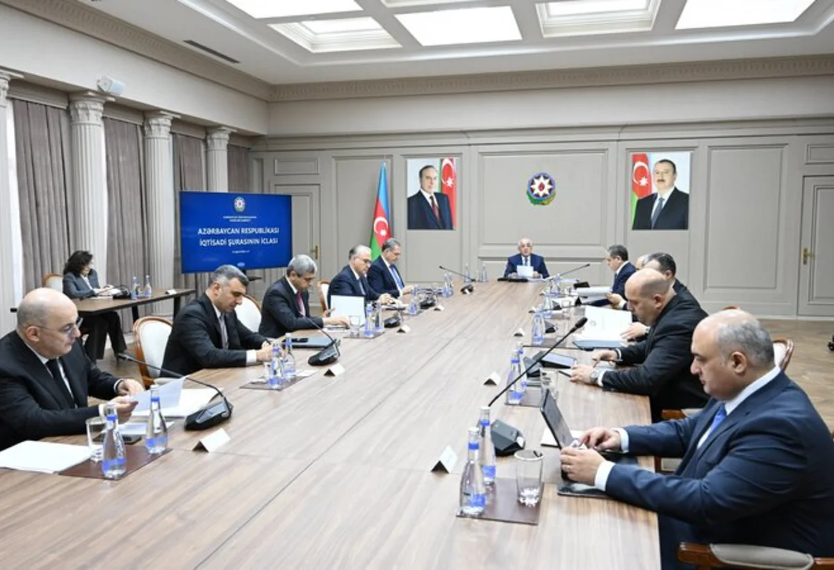 Sahil Babayev, Anar Əliyev və Mikayıl Cabbarov məruzə etdilər