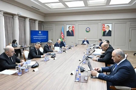 Sahil Babayev, Anar Əliyev və Mikayıl Cabbarov məruzə etdilər