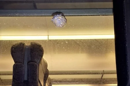 Azərbaycanda bu il 18 dəfə qatar sərnişinlərinin həyatı təhlükəyə atılıb