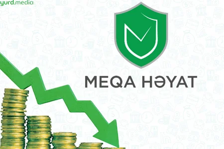 Meqa Həyat Sığorta”nın aktivləri 26%-ə yaxın azalıb