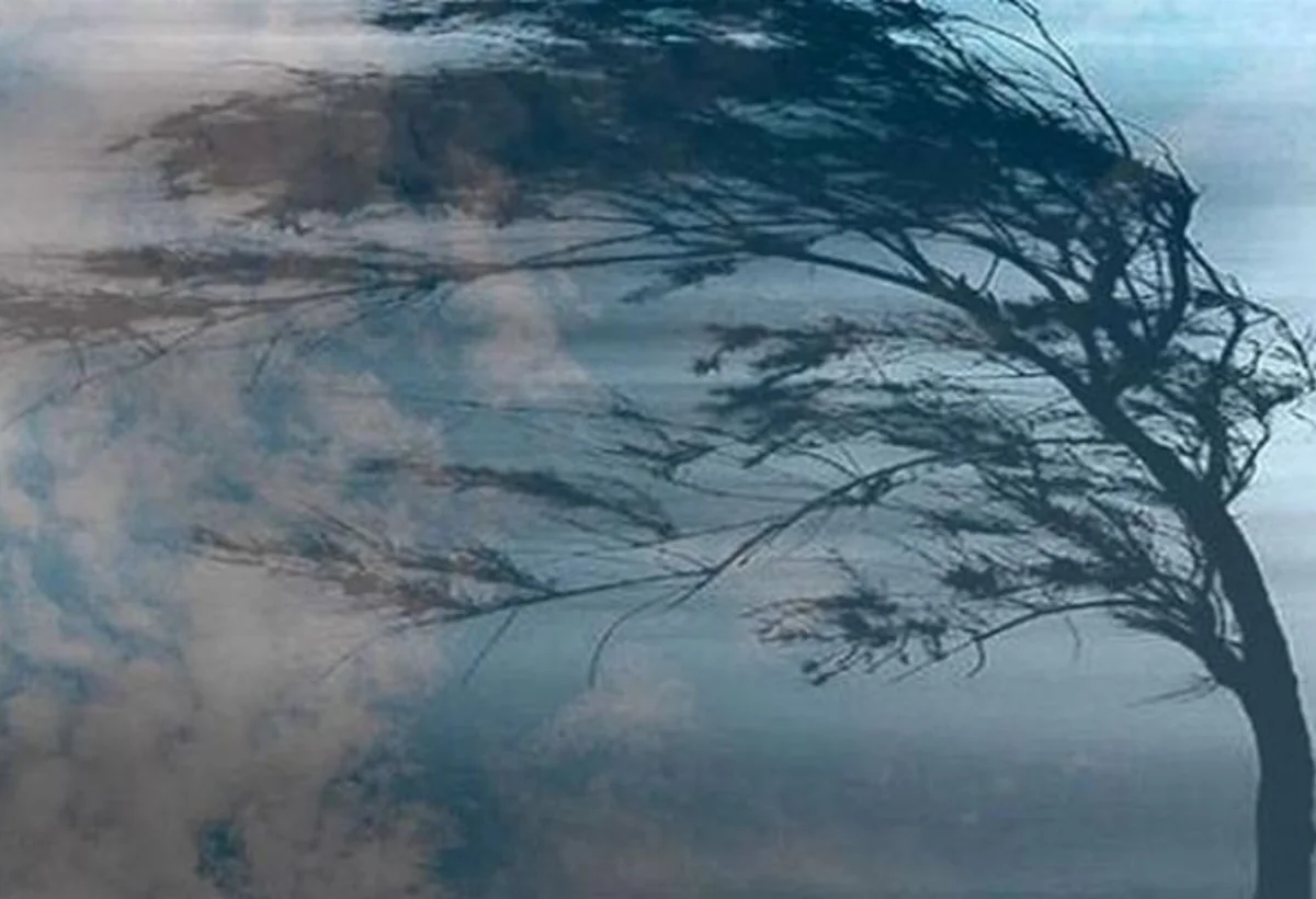 Güclü küləklə bağlı ƏHALİYƏ XƏBƏRDARLIQ