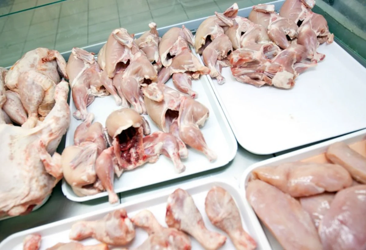 Ukraynadan gətirilən toyuq ətində salmonella çıxdı