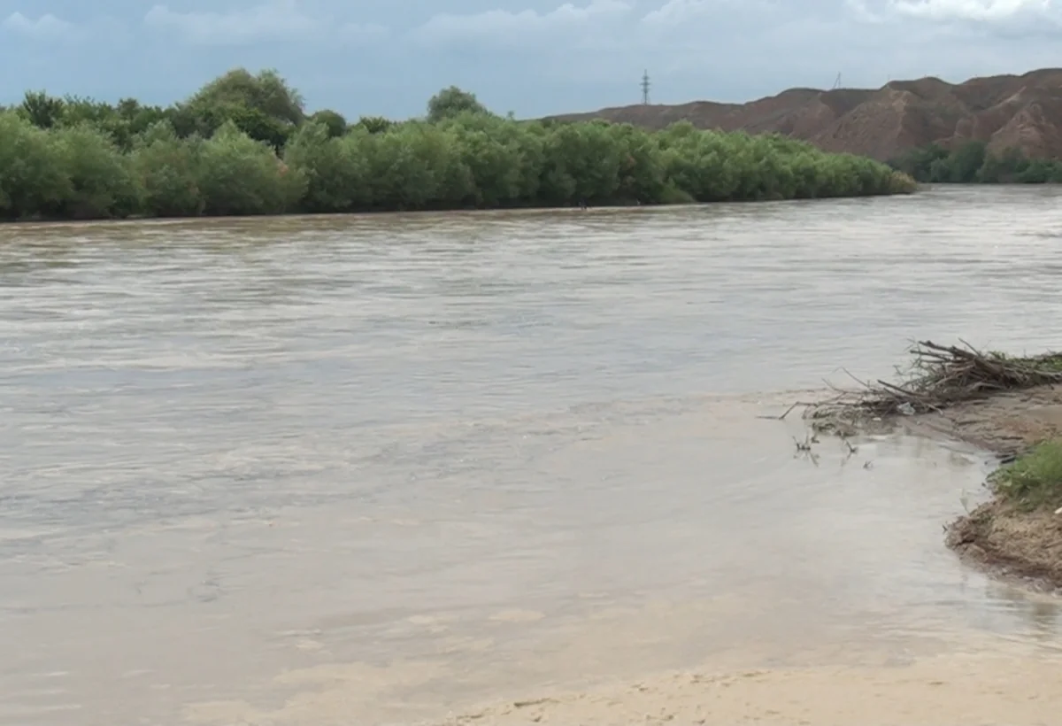 Kür daşdı: Taxıl sahələri su altında