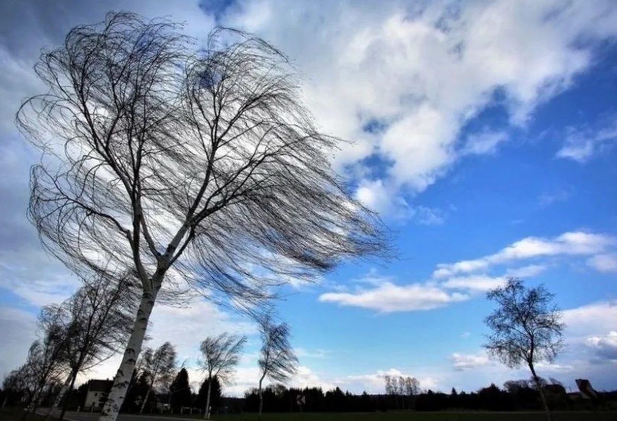 Sabahdan etibarən külək güclənəcək - XƏBƏRDARLIQ